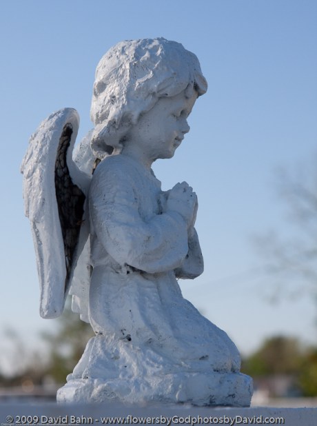 Cemetery Angel