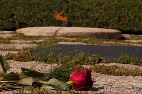 A single rose is laid at the tomb of President John F. Kennedy as a reminder of a life too soon ended.
