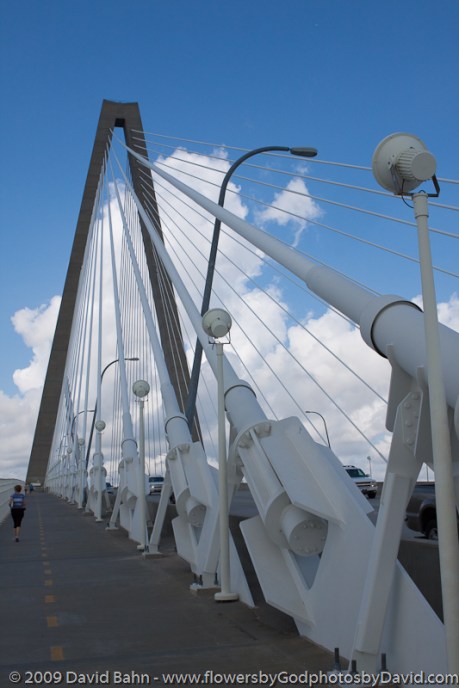 The cables and concrete and steel superstructure of this modern bridge stand tall and strong.