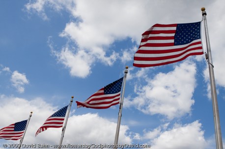 Eight years ago the Twin Towers of the World Trade Center in New York City collapsed because of the evil visited on them in the form of hijacked aircraft, filled with innocent people flown as missiles into the buildings. This image is a small gesture of remembrance to those who were killed and those who gave their lives helping others. 