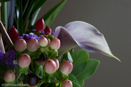 Calla Lily in floral arrangement Death and Destruction are never satisfied, and neither are the eyes of man. (Proverbs 27:20)