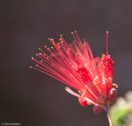 20090901-Washington_&_Mount_Vernon-8 20090901-Washington_&_Mount_Vernon-8