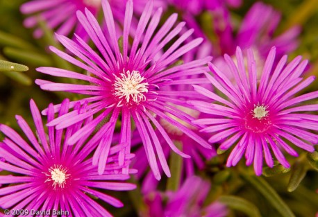 Expressions of Thanks