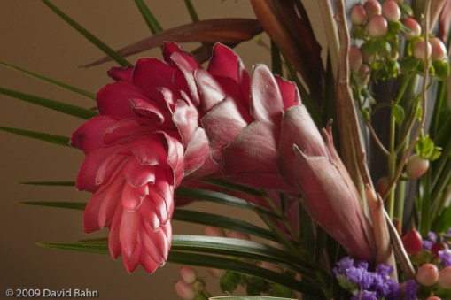 "Arrangement" © 2010 David Bahn