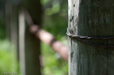 “Fence Post” © David Bahn