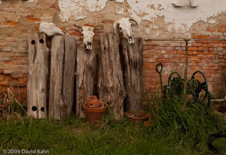 "Many Things by a Wall" © 2010 David Bahn "Many Things by a Wall" © 2010 David Bahn