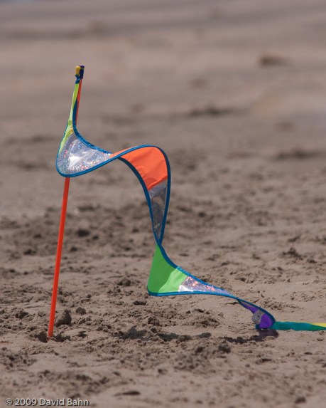"Flag in the Sand" © David Bahn