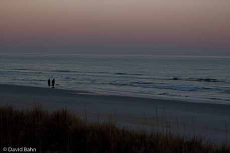 “Peaceful Walk” © David Bahn