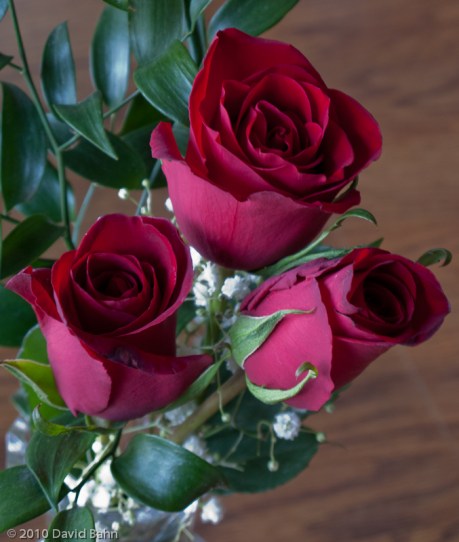 Three Roses