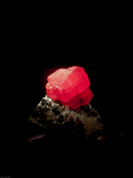 Red Gem on display at Houston Museum of Natural History