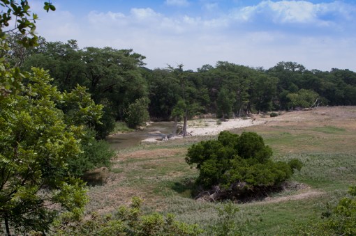 A Stream in the Desert