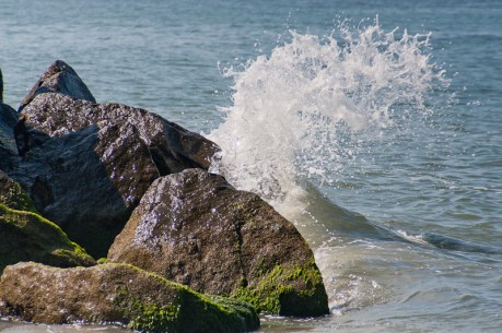 Crashing Wave Crashing Wave