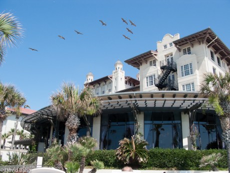 Pelicans flying over palatial hotel