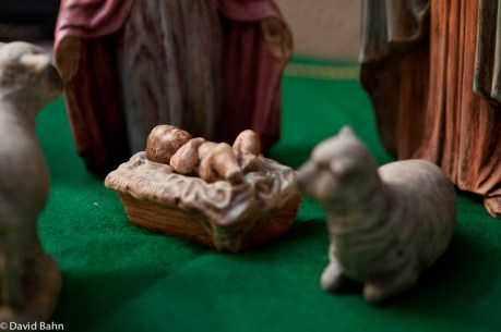 Nativity (34 of 55)
