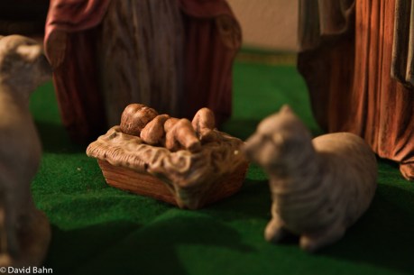 Nativity (17 of 50) Nativity (17 of 50)