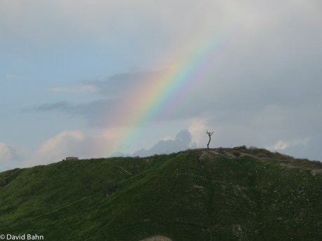 Rainbow and Tree atop the hill at Bet She'an Israel