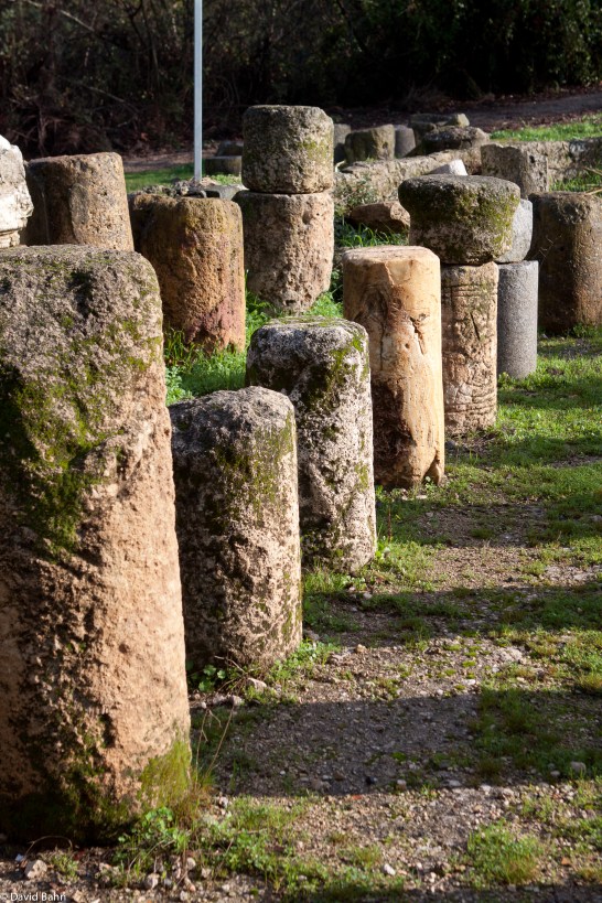 Columns from ancient ruins Columns from ancient ruins