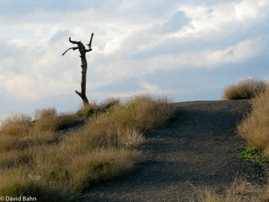 01-19-2012-Israel-Tour-5518