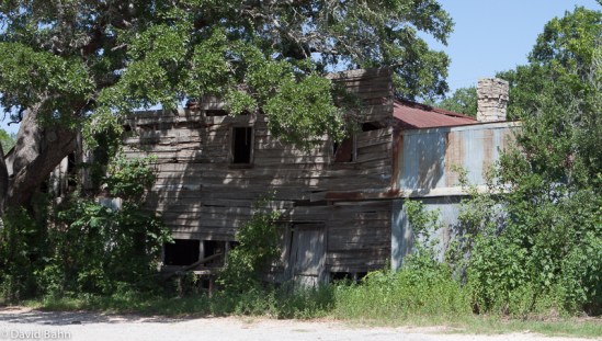 "Every tree that does not bear fruit will be cut down."