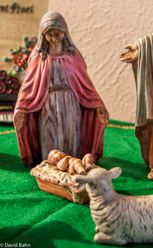 Nativity (13 of 50)
