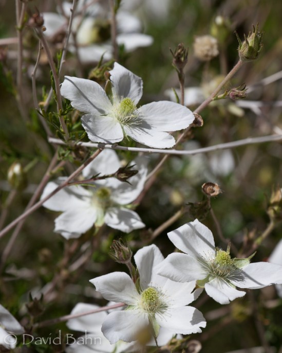 Flora among the fauna at the zoo
