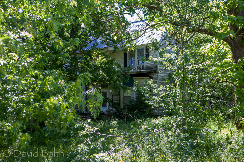 The now-barely-visible house in which my grandmother lived; many great stories were told and retold here.