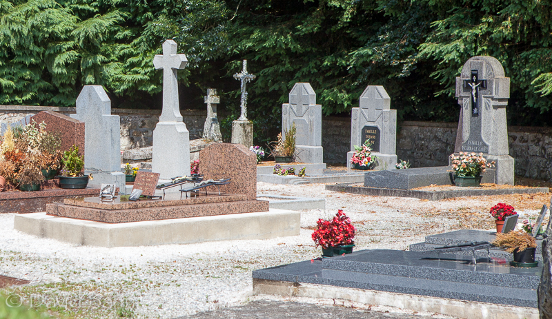 The grass withers and the flower falls, but the word of the Lord endures forever. - 1 Peter 1:24-25