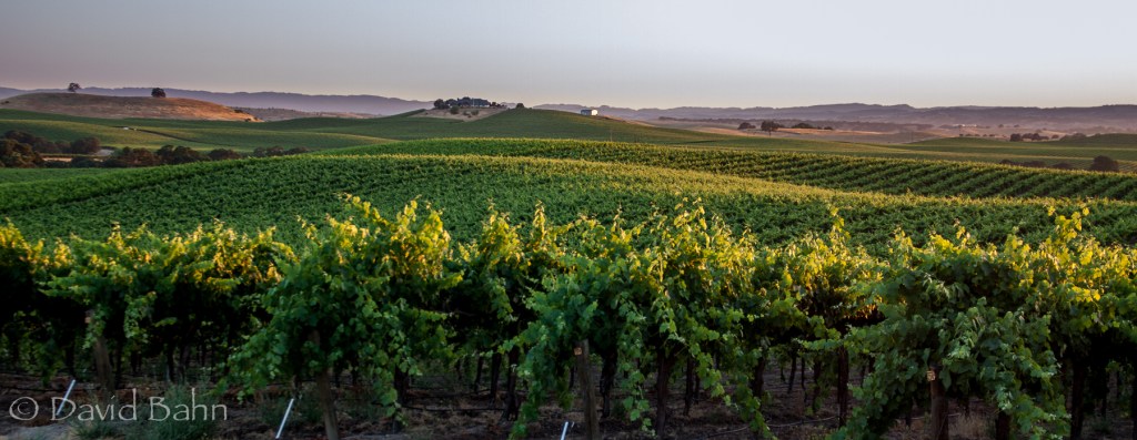 August 2014 NWHPC Assigned Category: Landscapes - 1st Place