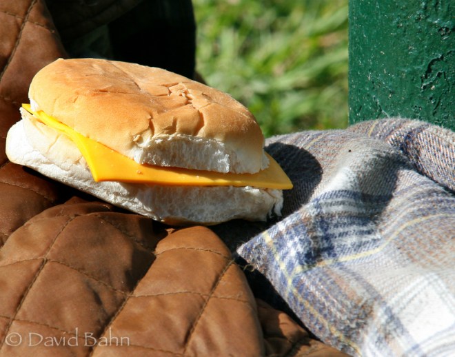This sandwich was  provided by a homeless relief ministry in downtown Houston.