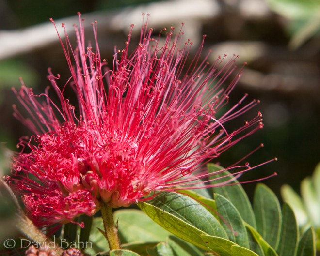 "Rejoice and be glad!"