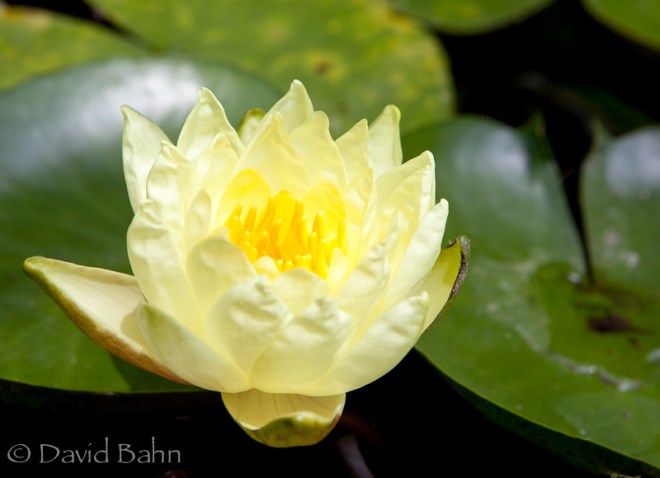 20150502-7868