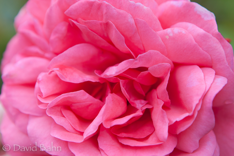 2010-09-13-Leipzig-1251