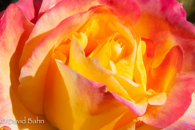 20150611-8944-Edit-2