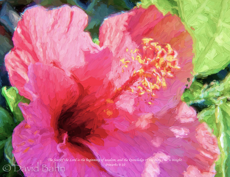 "Echoing the Impressionists" - 2015 NWHPC Portfolio Review