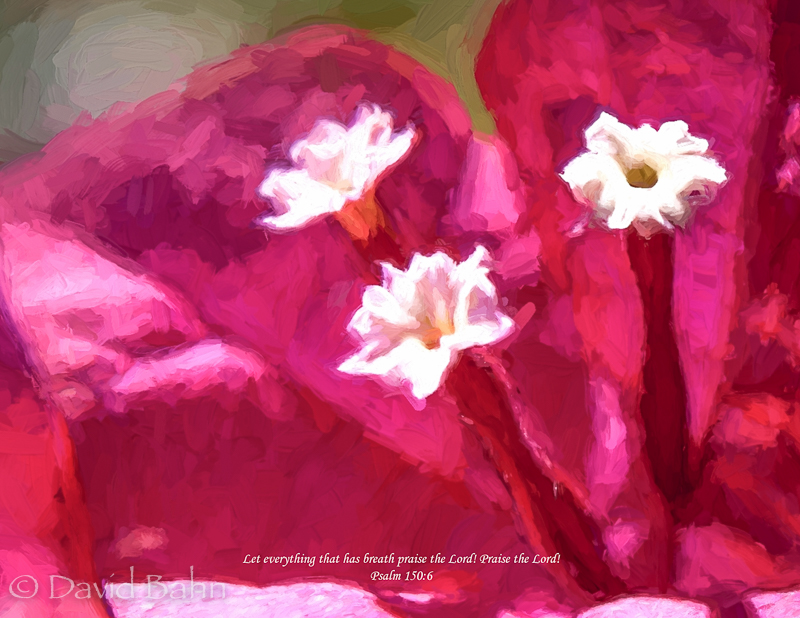 "Echoing the Impressionists" - 2015 NWHPC Portfolio Review