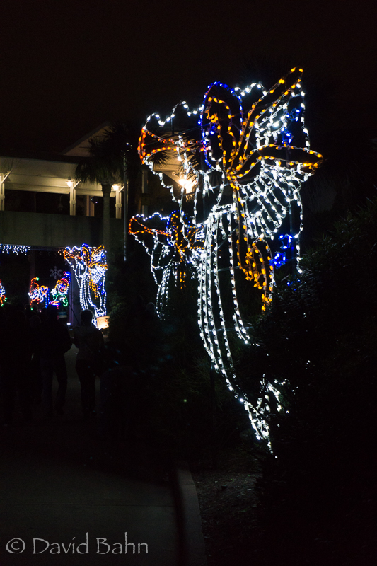 Trip to Moody Gardens' Festival of Lights