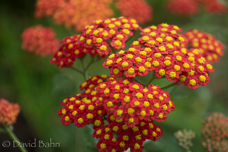 20160726-Anchorage, Alaska-02076