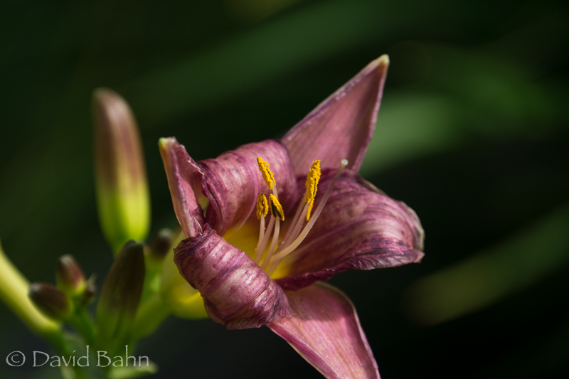 20160726-Anchorage, Alaska-02085