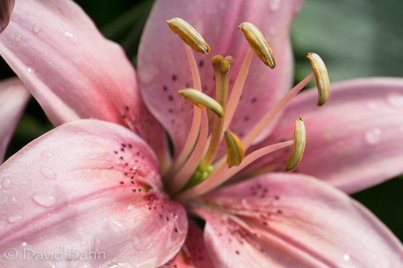 20160726-Anchorage, Alaska-02102