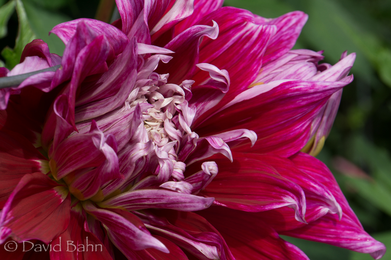 20160726-Anchorage, Alaska-02106