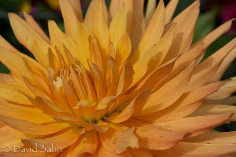 20160726-Anchorage, Alaska-02107