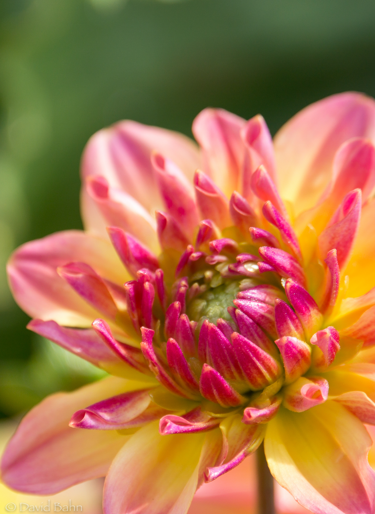 20160726-NWHPC-08-16-Entry-DLB-02098