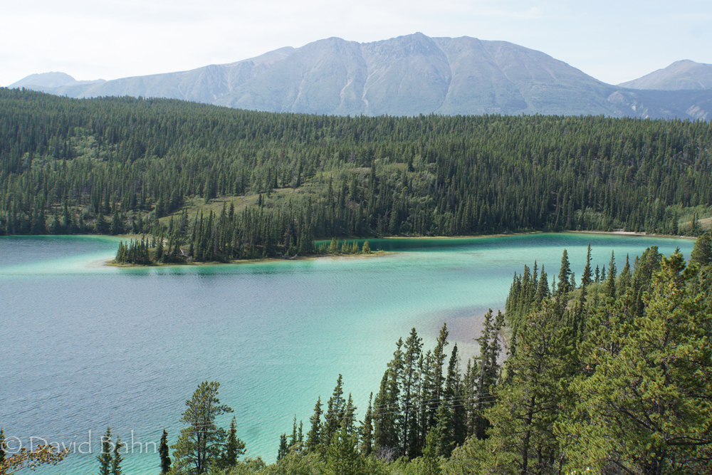 20160802-Glacier Bay &amp; Skagway-02813