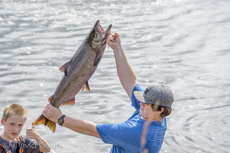 20160803-Alaska-Cruise-Juneau-&amp;-Ketchekan02941