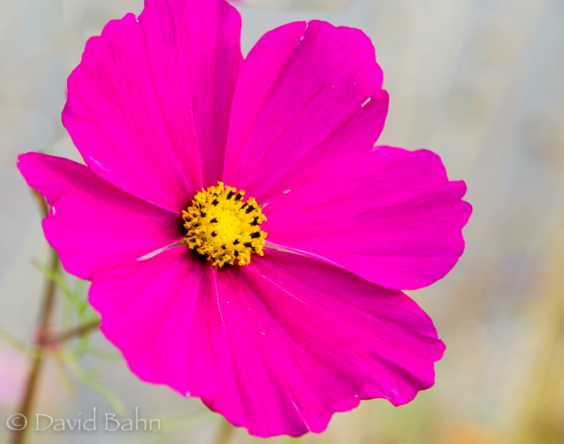 20160726-anchorage-alaska-02031