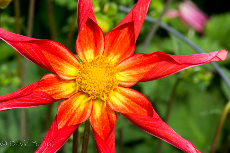 20160726-Anchorage, Alaska-02108