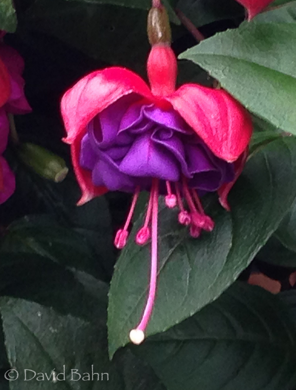 20160728-dianes-alaska-photos6244