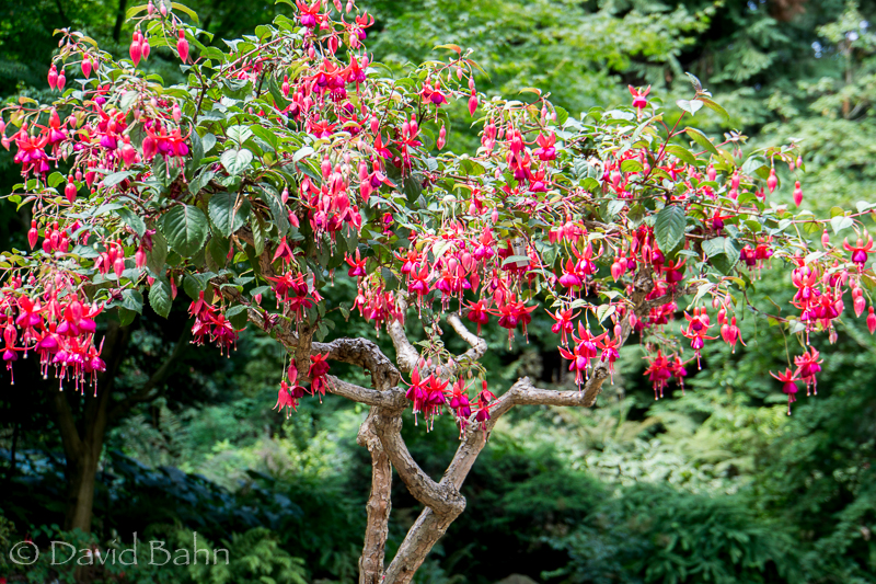 20160808-untitled03491