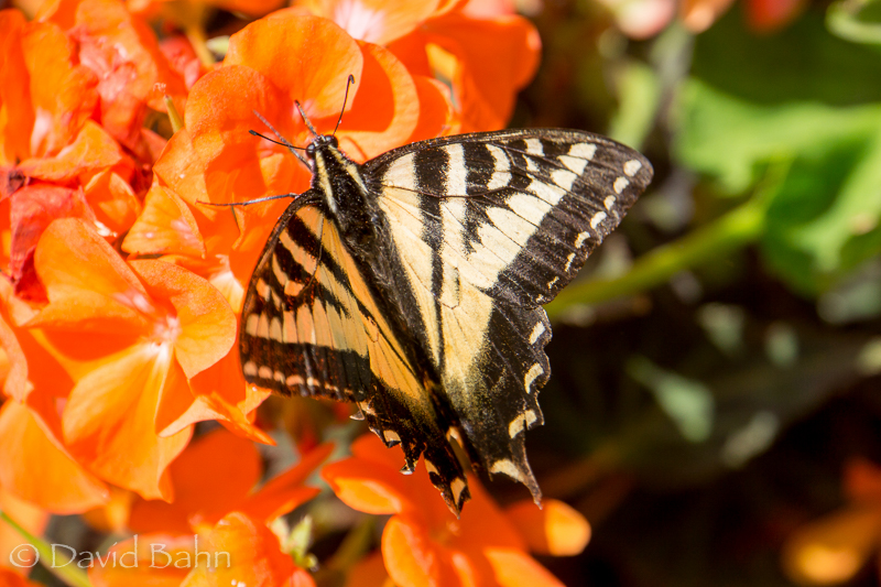 20160808-untitled03505