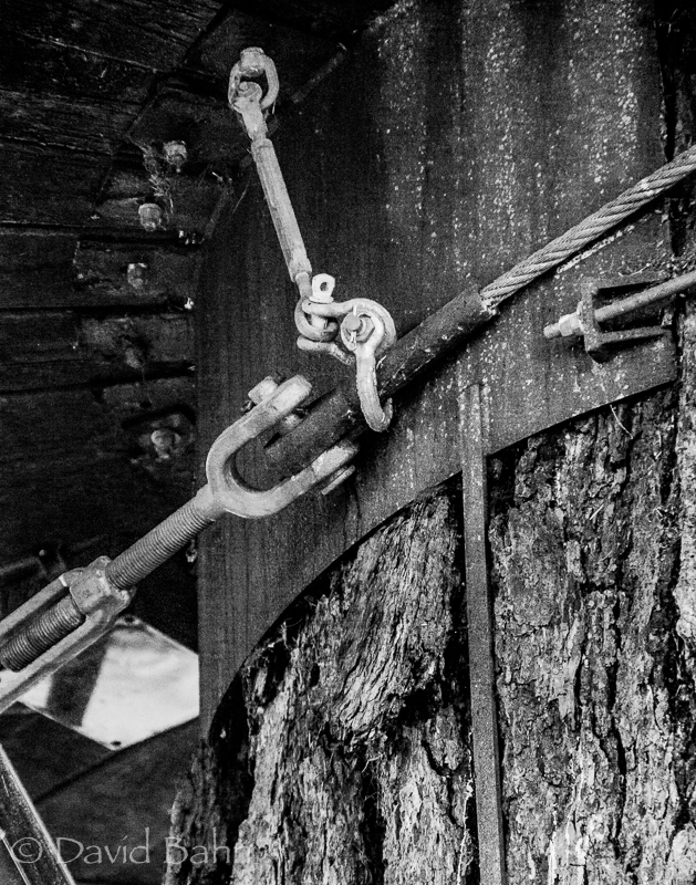 20160806-unsung-heroes-03289